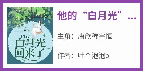 主角唐欣穆宇恒小说爆款《他的“白月光”回来了》完整版小说