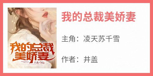 我的总裁美娇妻小说主角是凌天苏千雪全文完整版阅读