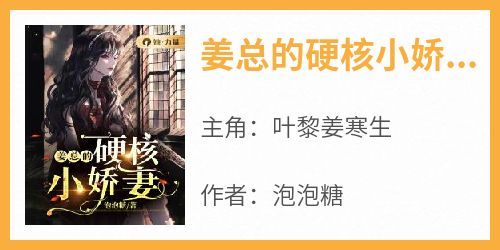 最新小说姜总的硬核小娇妻主角叶黎姜寒生全文在线阅读