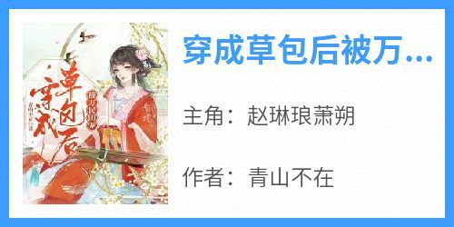 穿成草包后被万民团宠小说主角是赵琳琅萧朔全文完整版阅读