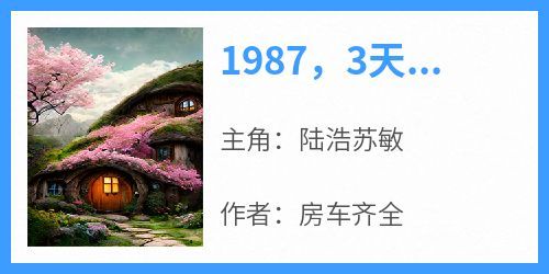 《1987，3天成万元户》完整版-陆浩苏敏在线全文阅读