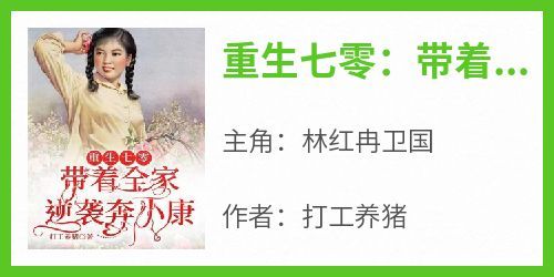 主角是林红冉卫国的小说重生七零：带着全家逆袭奔小康最完整版热门连载