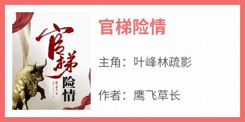 最新小说官梯险情主角叶峰林疏影全文在线阅读