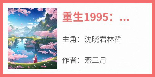 强烈推荐《重生1995：她成了房产大亨》沈晓君林哲在线阅读