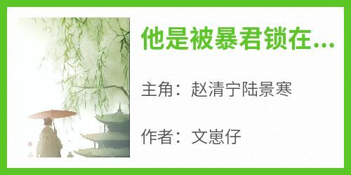 爆款小说《他是被暴君锁在深宫的皇后》主角赵清宁陆景寒全文在线完本阅读
