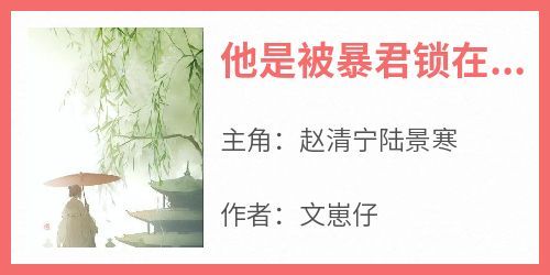他是被暴君锁在深宫的皇后主角是赵清宁陆景寒小说百度云全文完整版阅读
