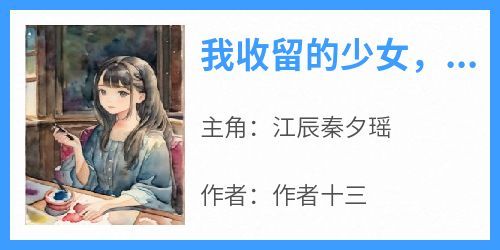 《我收留的少女，怎会是首富继承人》江辰秦夕瑶小说完整在线阅读