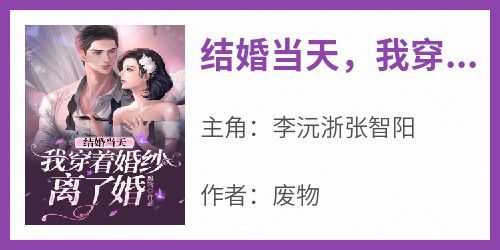 李沅浙张智阳主角的小说完结版《结婚当天，我穿着婚纱离了婚》全集