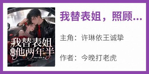 正版小说《我替表姐，照顾他两年半》许琳依王诚挚在线免费阅读