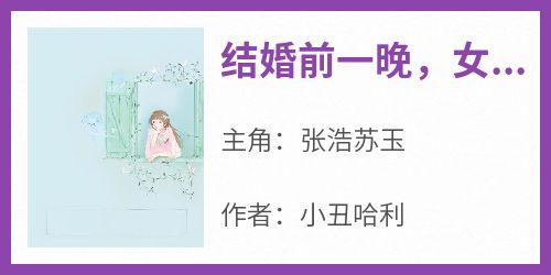 (抖音)结婚前一晚，女友去见了她的白月光张浩苏玉小说免费全文阅读