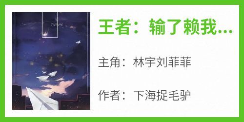 林宇刘菲菲全文最新章节正版小说免费阅读