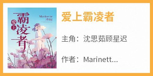 Marinette的小说《爱上霸凌者》全文阅读