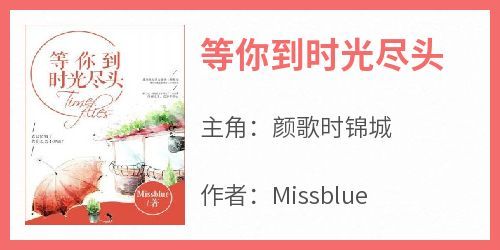 Missblue的小说《等你到时光尽头》主角是颜歌时锦城