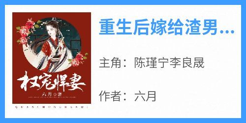 陈瑾宁李良晟全本小说 《重生后嫁给渣男的将军哥哥》全文免费在线阅读