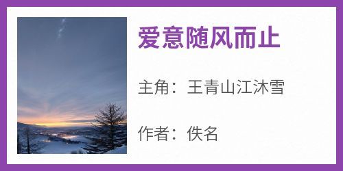 《爱意随风而止》无广告阅读 王青山江沐雪免费在线阅读